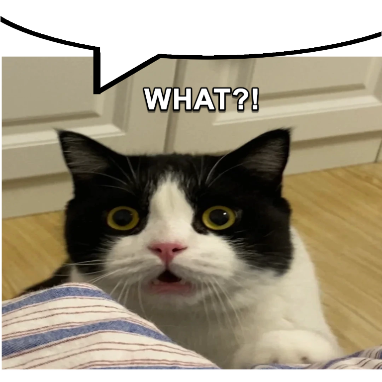 Discord Surprised Cat example thumbnail